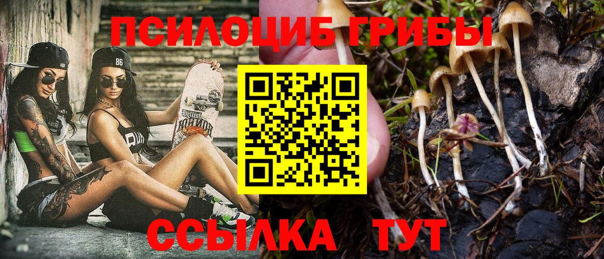 Галлюциногенные грибы GOLDEN TEACHER  Вход с VPN  Ноябрьск 